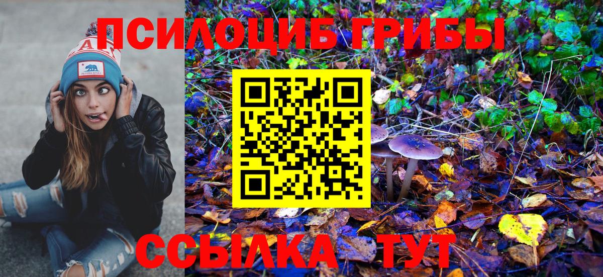 Псилоцибиновые грибы Psilocybe Шумерля